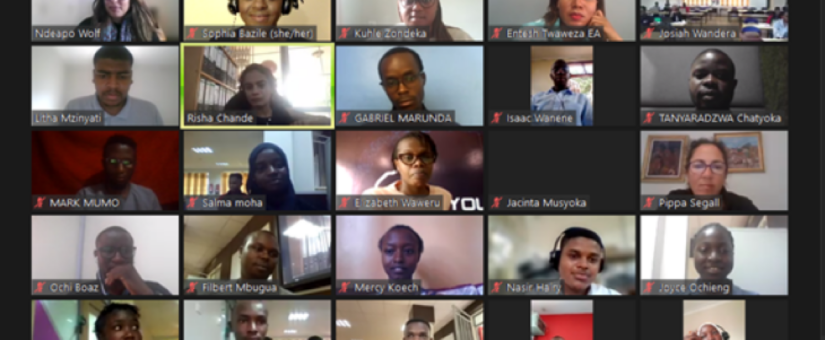 Youth and Social Justice Futures with the Southern Africa Node and other Global Partners