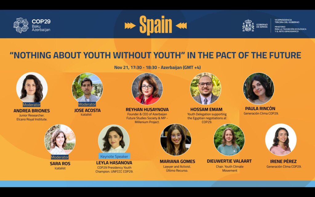 COP 29 panel session