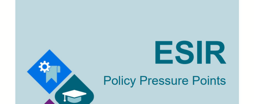 ESIR proposes “Policy Acupuncture” and SOFI to navigate polycrisis